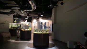 カワスイ 川崎⽔族館に投稿された画像（2021/7/2）