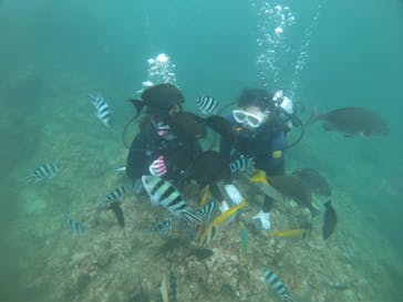 武藤潜水に投稿された画像（2021/7/2）