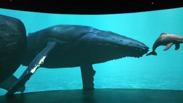 カワスイ 川崎⽔族館に投稿された画像（2021/7/2）