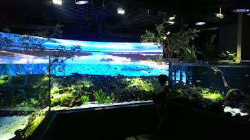 カワスイ 川崎⽔族館に投稿された画像（2021/7/2）