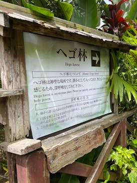 美らヤシパークオキナワ・東南植物楽園に投稿された画像（2021/7/2）