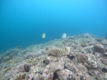 青の洞窟専門店　沖縄ダイビングショップ和に投稿された画像（2021/7/2）