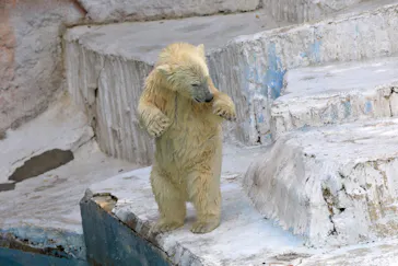 天王寺動物園に投稿された画像（2021/6/30）
