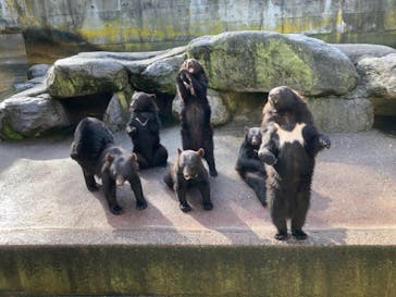 奥飛騨クマ牧場に投稿された画像（2021/7/3）