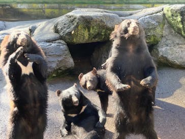 奥飛騨クマ牧場に投稿された画像（2021/7/3）