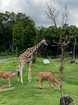天王寺動物園に投稿された画像（2021/7/3）