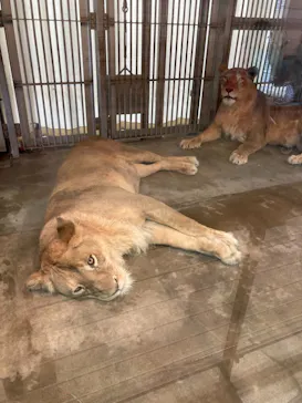 天王寺動物園に投稿された画像（2021/7/3）