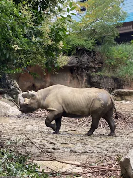 天王寺動物園に投稿された画像（2021/7/3）
