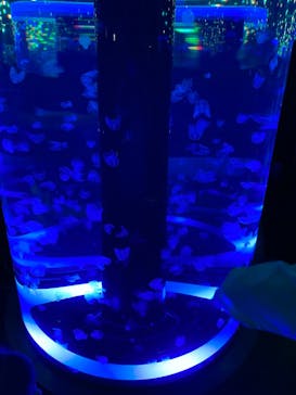 マクセル アクアパーク品川に投稿された画像（2021/7/3）