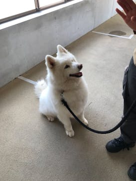 那須どうぶつ王国に投稿された画像（2021/7/3）