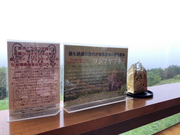 那須どうぶつ王国に投稿された画像（2021/7/3）