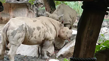 天王寺動物園に投稿された画像（2021/7/3）
