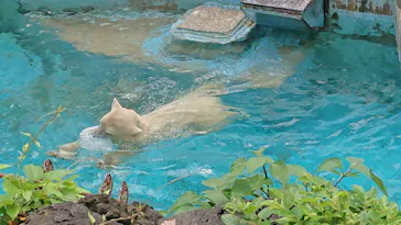 天王寺動物園に投稿された画像（2021/7/3）