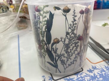 ずこうしつ〜sugamo〜に投稿された画像（2021/7/3）