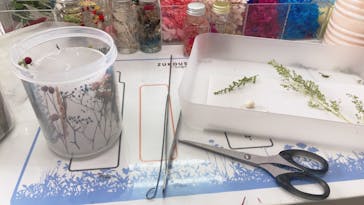 ずこうしつ〜sugamo〜に投稿された画像（2021/7/3）