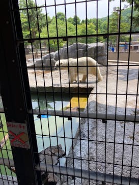 旭川市旭山動物園に投稿された画像（2021/7/3）