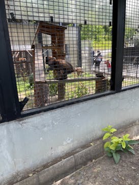 旭川市旭山動物園に投稿された画像（2021/7/3）