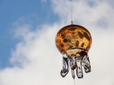 京都水族館に投稿された画像（2021/7/3）