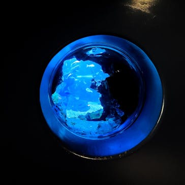 京都水族館に投稿された画像（2021/7/3）