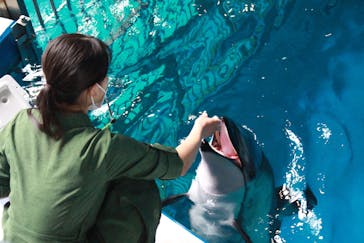 マクセル アクアパーク品川に投稿された画像（2021/7/3）