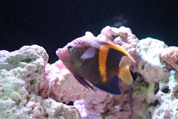 マクセル アクアパーク品川に投稿された画像（2021/7/3）