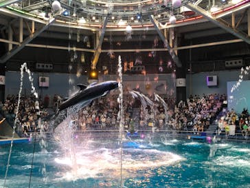 マクセル アクアパーク品川に投稿された画像（2021/7/3）