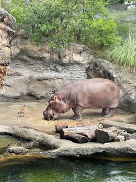 天王寺動物園に投稿された画像（2021/7/3）