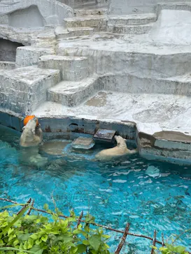 天王寺動物園に投稿された画像（2021/7/3）