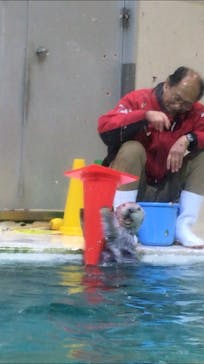 鳥羽水族館に投稿された画像（2021/7/3）