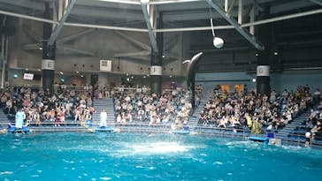 マクセル アクアパーク品川に投稿された画像（2021/7/3）