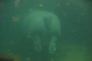 天王寺動物園に投稿された画像（2021/7/3）