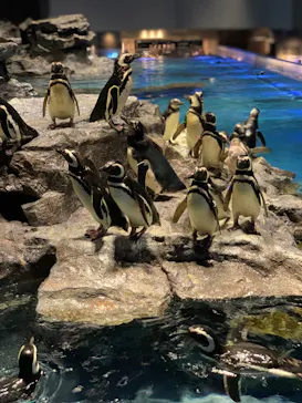 すみだ水族館に投稿された画像（2021/7/3）