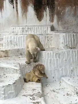 天王寺動物園に投稿された画像（2021/7/3）