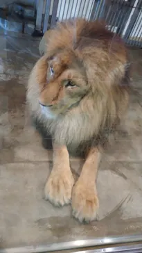 天王寺動物園に投稿された画像（2021/7/3）