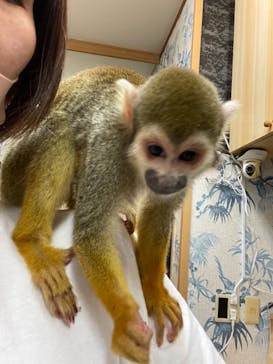 アニPONワールドに投稿された画像（2021/7/3）