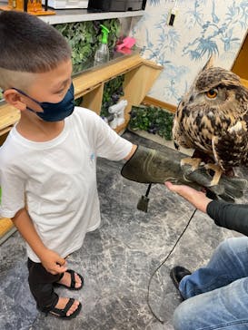 アニPONワールドに投稿された画像（2021/7/3）