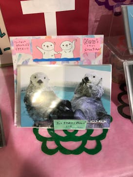 鳥羽水族館に投稿された画像（2021/7/3）