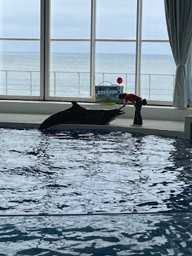 アクアワールド茨城県大洗水族館に投稿された画像（2021/7/3）