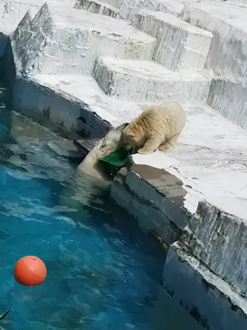 天王寺動物園に投稿された画像（2021/7/3）