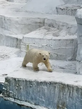 天王寺動物園に投稿された画像（2021/7/3）