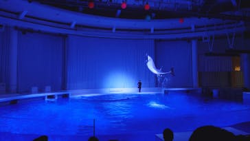 アクアワールド茨城県大洗水族館に投稿された画像（2021/7/3）