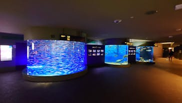 アクアワールド茨城県大洗水族館に投稿された画像（2021/7/3）