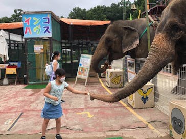 那須ワールドモンキーパークに投稿された画像（2021/7/3）