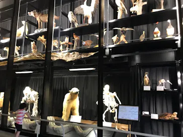 天王寺動物園に投稿された画像（2021/7/3）