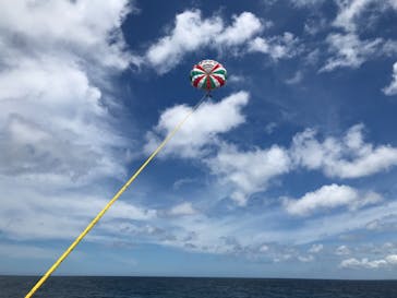 Sea World（シーワールド）に投稿された画像（2021/7/4）