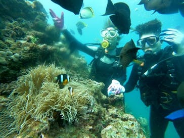 武藤潜水に投稿された画像（2021/7/4）