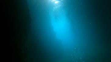 DIVING-SHOP SUNSに投稿された画像（2021/7/4）