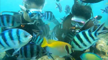 DIVING-SHOP SUNSに投稿された画像（2021/7/4）