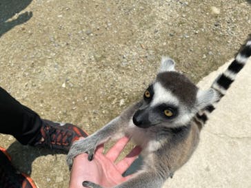しろとり動物園に投稿された画像（2021/7/4）