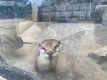 しろとり動物園に投稿された画像（2021/7/4）